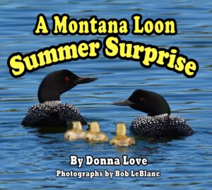 2023 LoveLoonBookCoverV12 6