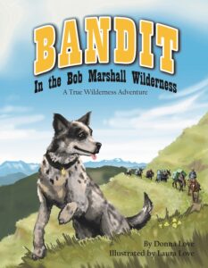Bandit FINAL Front COVER 25 percent