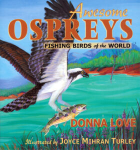 ospreycover dixon cove design